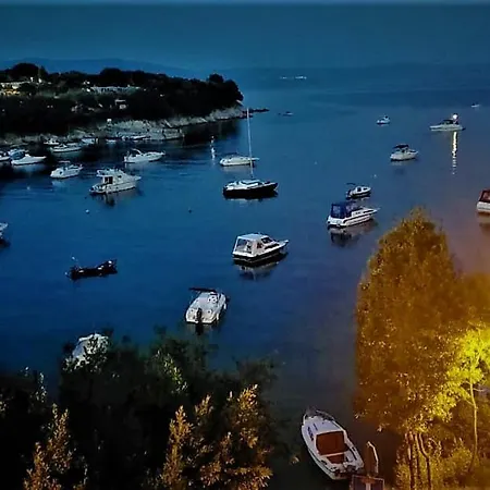 Villamar Beachfront With Free Private Parking Apartament Rabac